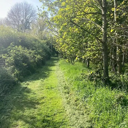 Cowshed - Duffys Ballybin 4-star * Ashbourne