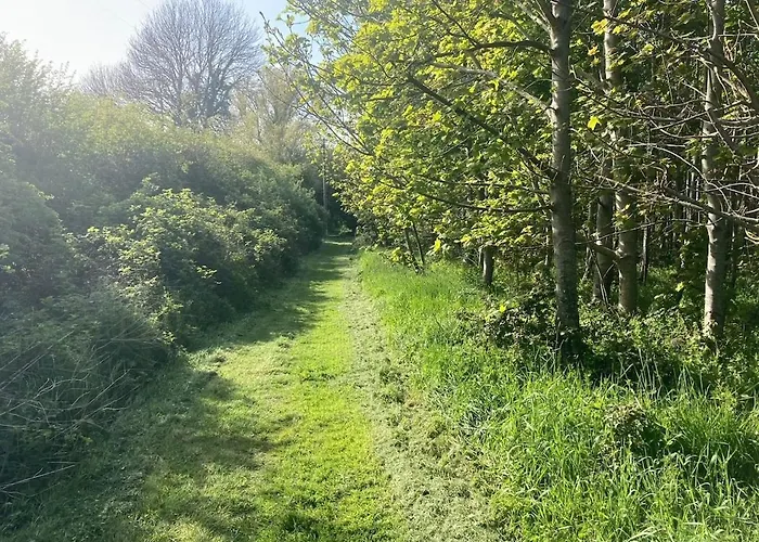 Cowshed - Duffys Ballybin 4-star * Ashbourne